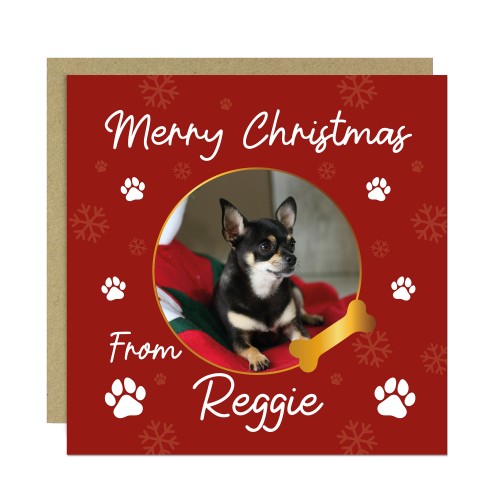 Merry Christmas Card From The Dog Personalised Photo Card