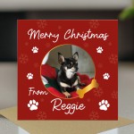 Merry Christmas Card From The Dog Personalised Photo Card