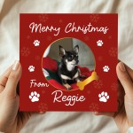 Merry Christmas Card From The Dog Personalised Photo Card
