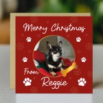 Merry Christmas Card From The Dog Personalised Photo Card
