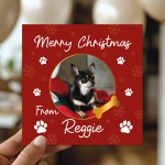 Merry Christmas Card From The Dog Personalised Photo Card