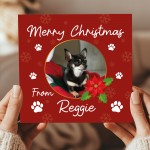 Novelty Christmas Card From The Dog Personalised Photo Card