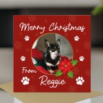 Novelty Christmas Card From The Dog Personalised Photo Card