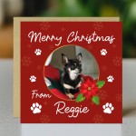 Novelty Christmas Card From The Dog Personalised Photo Card