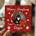 Novelty Christmas Card From The Dog Personalised Photo Card