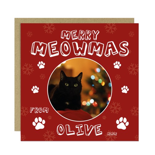Personalised Photo Christmas Card From The Cat Greetings Card