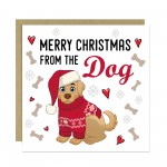Merry Christmas From The Dog Card Novelty Dogs Christmas Xmas Merry Christmas From The Dog Card Novelty Dogs Christmas Xmas