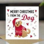 Merry Christmas From The Dog Card Novelty Dogs Christmas Xmas Merry Christmas From The Dog Card Novelty Dogs Christmas Xmas