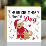 Merry Christmas From The Dog Card Novelty Dogs Christmas Xmas Merry Christmas From The Dog Card Novelty Dogs Christmas Xmas