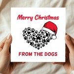 Merry Christmas From The Dog Card Funny Dog Christmas Xmas Cards