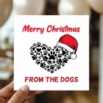 Merry Christmas From The Dog Card Funny Dog Christmas Xmas Cards