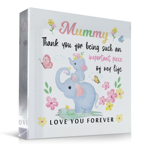 Mummy Gifts For Birthday Christmas Mothers Day Important Piece