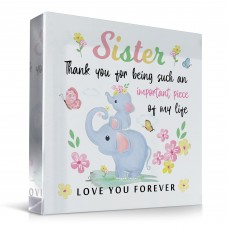 Gifts for Sister Acrylic Plaque Adorable Sister Presents
