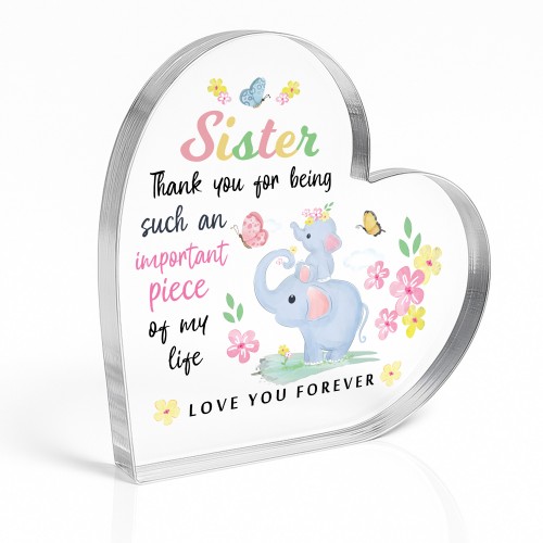 Adorable Gifts for Sister Acrylic Plaque Sister Presents