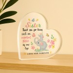 Adorable Gifts for Sister Acrylic Plaque Sister Presents