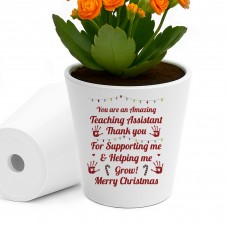 Merry Christmas Teaching Assistant Gift Plant Pot For TA