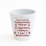 Merry Christmas Teaching Assistant Gift Plant Pot For TA