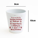 Merry Christmas Teaching Assistant Gift Plant Pot For TA