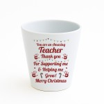 Merry Christmas Teacher Gift Plant Pot Gift For Teacher Nursery