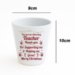 Merry Christmas Teacher Gift Plant Pot Gift For Teacher Nursery