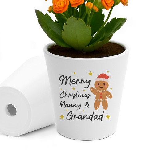 Merry Christmas Nanny and Grandad Plant Pot Gift For Grandparent