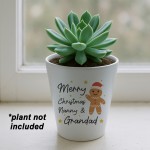 Merry Christmas Nanny and Grandad Plant Pot Gift For Grandparent