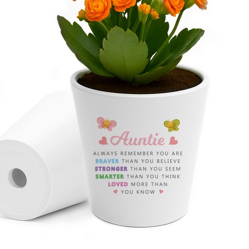 Braver Stronger Smarter Gift For Auntie Plant Pot Birthday Gift
