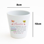 Braver Stronger Smarter Gift For Auntie Plant Pot Birthday Gift