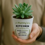 Gift For Mummy For Christmas Birthday Plant Pot Mummys Kitchen