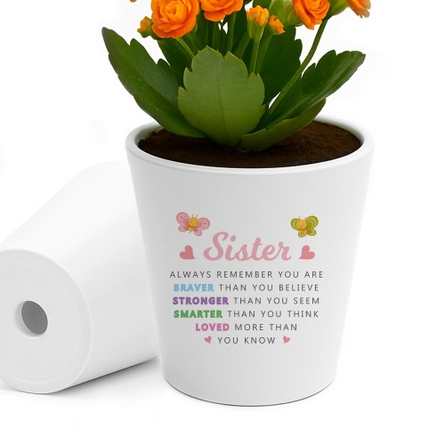 Braver Stronger Smarter Gift For Sister Plant Pot Birthday Gift