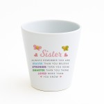 Braver Stronger Smarter Gift For Sister Plant Pot Birthday Gift