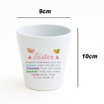 Braver Stronger Smarter Gift For Sister Plant Pot Birthday Gift