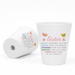 Braver Stronger Smarter Gift For Sister Plant Pot Birthday Gift