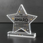 Joke Colleague Plaque Acrylic Star Award For Office Party Office