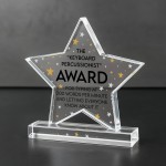 Co Worker Award Joke Acrylic Star Award For Office Party