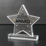 Funny Gift For Colleague Acrylic Star Award For Office Party