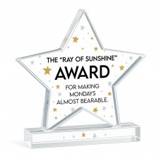 Humour Gift For Colleague Acrylic Star Award For Office Party