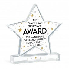 Funny Trophy Award Gift For Colleague Acrylic Star Award Office