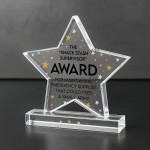 Funny Trophy Award Gift For Colleague Acrylic Star Award Office