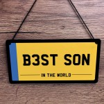 Son Novelty Licence Plate Hanging Sign For Man Cave Number Plate