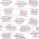 The Girlfriend Rewards Book Fun Gift For Her Valetines Birthday The Girlfriend Rewards Book Fun Gift For Her Valetines Birthday