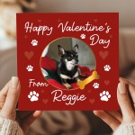 Novelty Valentines Card From The Dog Personalised Photo Card