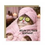 Funny Birthday Card with Envelope Relax Its Your Birthday Joke Funny Birthday Card with Envelope Relax Its Your Birthday Joke