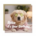Funny Birthday Card Relax Its Your Birthday Dog Card For Her