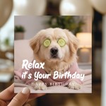 Funny Birthday Card Relax Its Your Birthday Dog Card For Her