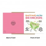 Funny Best Friend Birthday Card Birthday Card for Women Friend