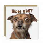 Funny Dog Birthday Card How Old Hilarious Card For Friend Family