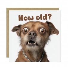 Funny Dog Birthday Card How Old Hilarious Card For Friend Family