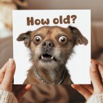 Funny Dog Birthday Card How Old Hilarious Card For Friend Family