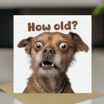 Funny Dog Birthday Card How Old Hilarious Card For Friend Family
